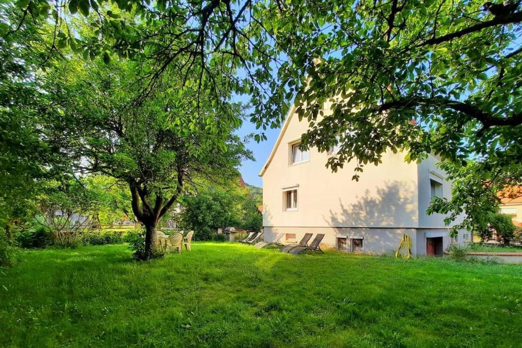 Rooms 4 Persons Kaysersberg Екстериор снимка